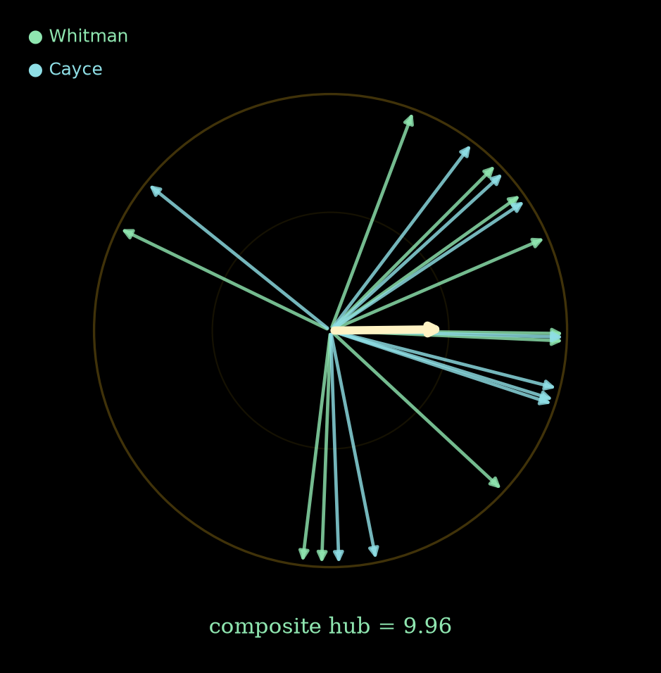 The Whitman–Cayce composite phasor rose — twenty wave-arrows fanning from one center against black